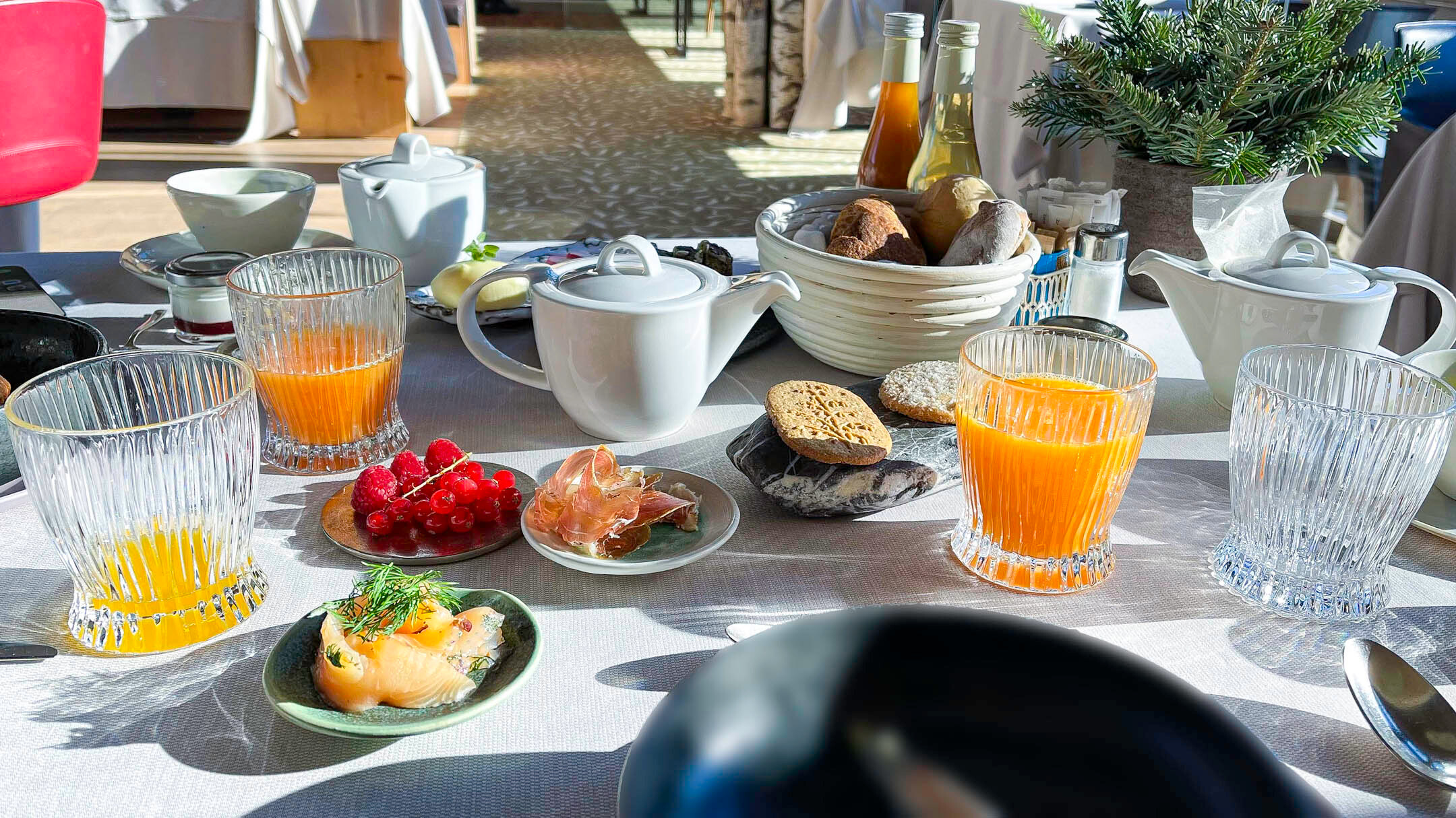 Terra breakfast 04.01.2023 4