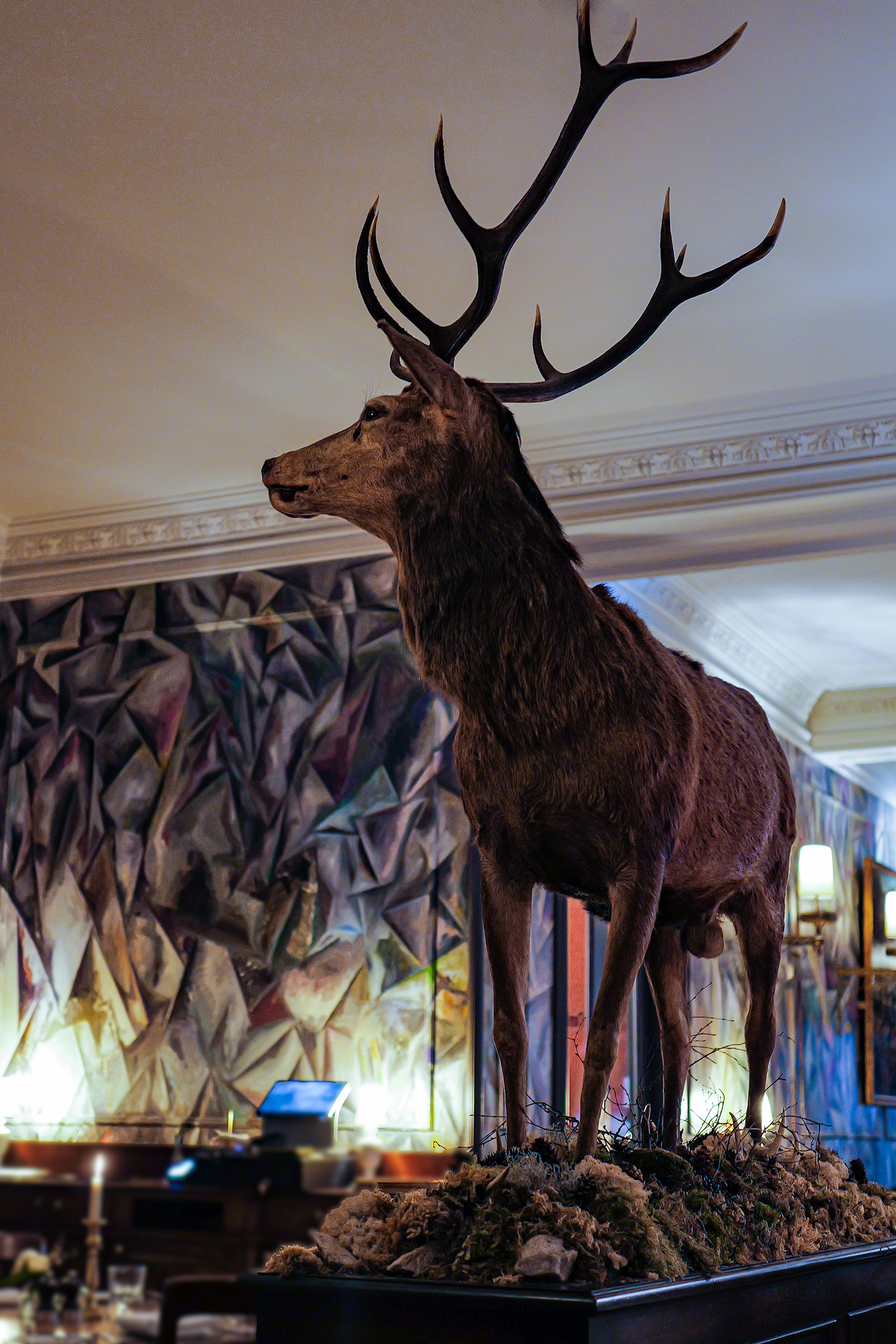 Stag.Clunie2